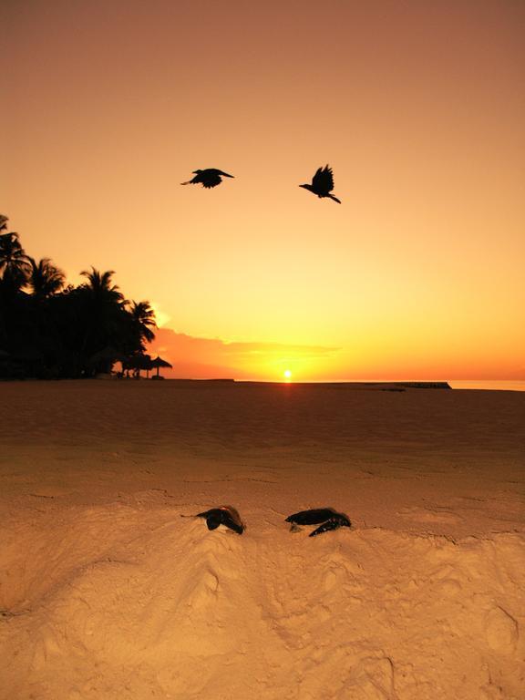 Blue World Dharavandhoo Buitenkant foto