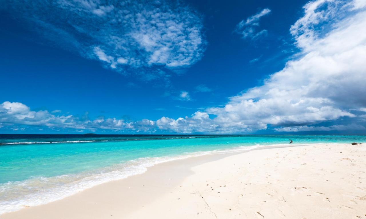 Blue World Dharavandhoo Buitenkant foto